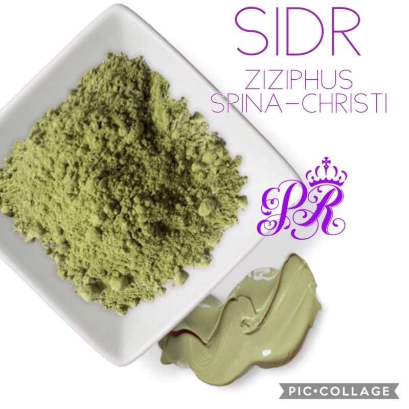 SIDR (Sedr, Ziziphus, Zizyphus, nabq, Jar Ber)