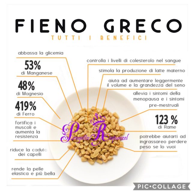 Fieno greco