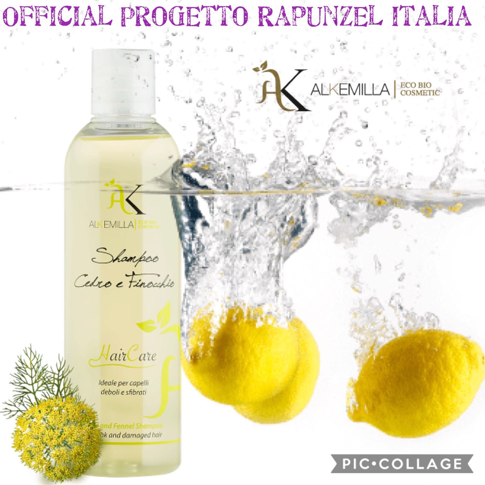 ALKEMILLA SHAMPOO CEDRO E FINOCCHIO PER CAPELLI DEBOLI E SFIBRATI