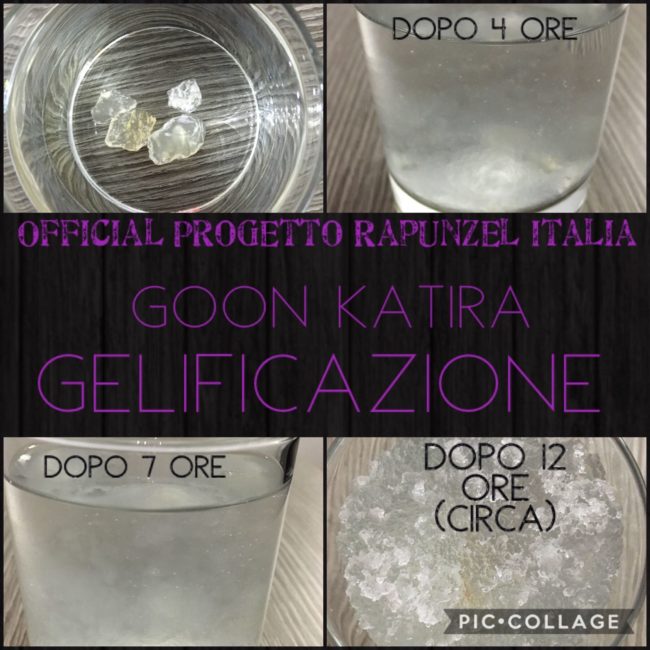 Goond Katira