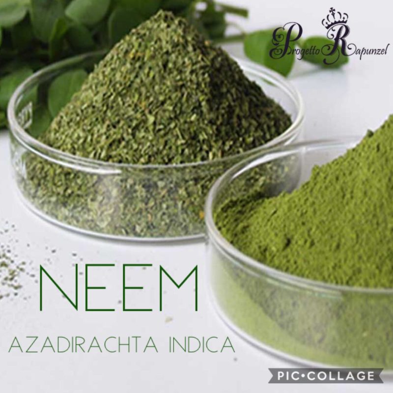 NEEM (Nīm)