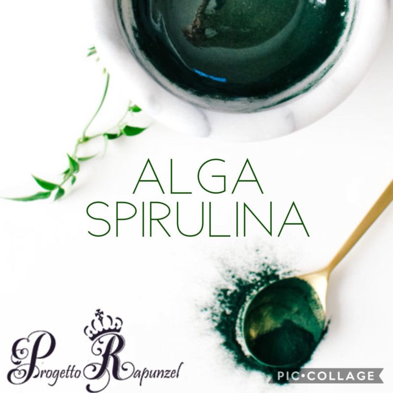 La Spirulina (Arthrospira platensis)