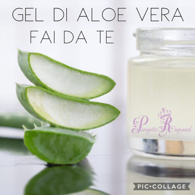 Gel Aloe vera: (pianta)