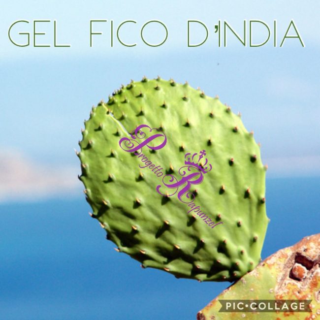 Gel Fico D'india