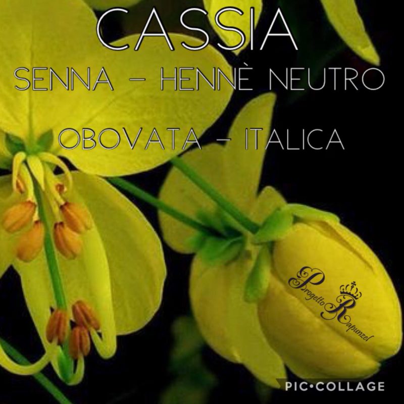 Cassia – Obovata – Italica – Senna