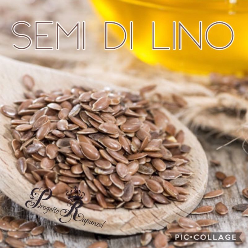 Semi di Lino